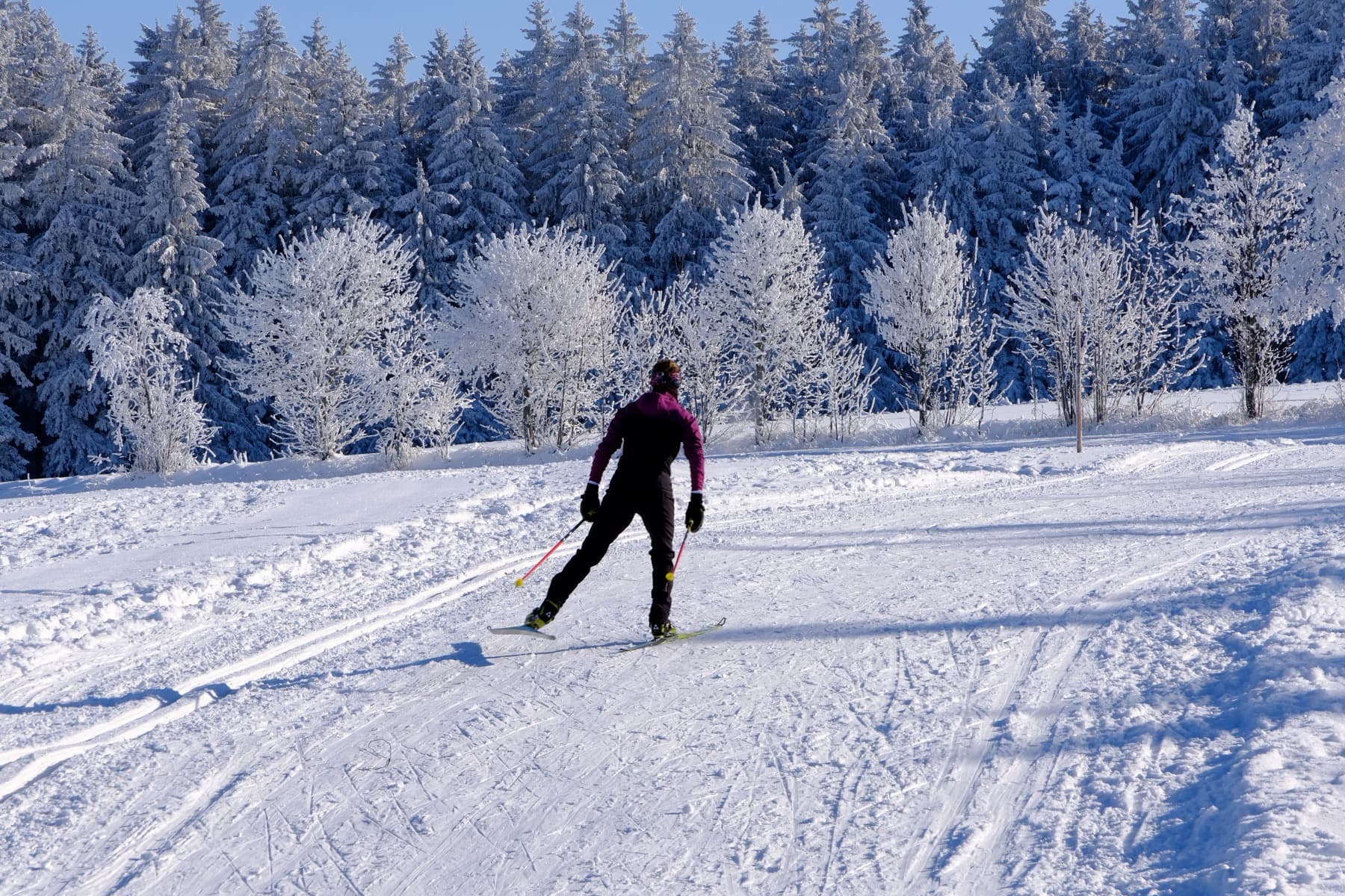 A skate skier pushing off on a groomed trail beneath frosted trees