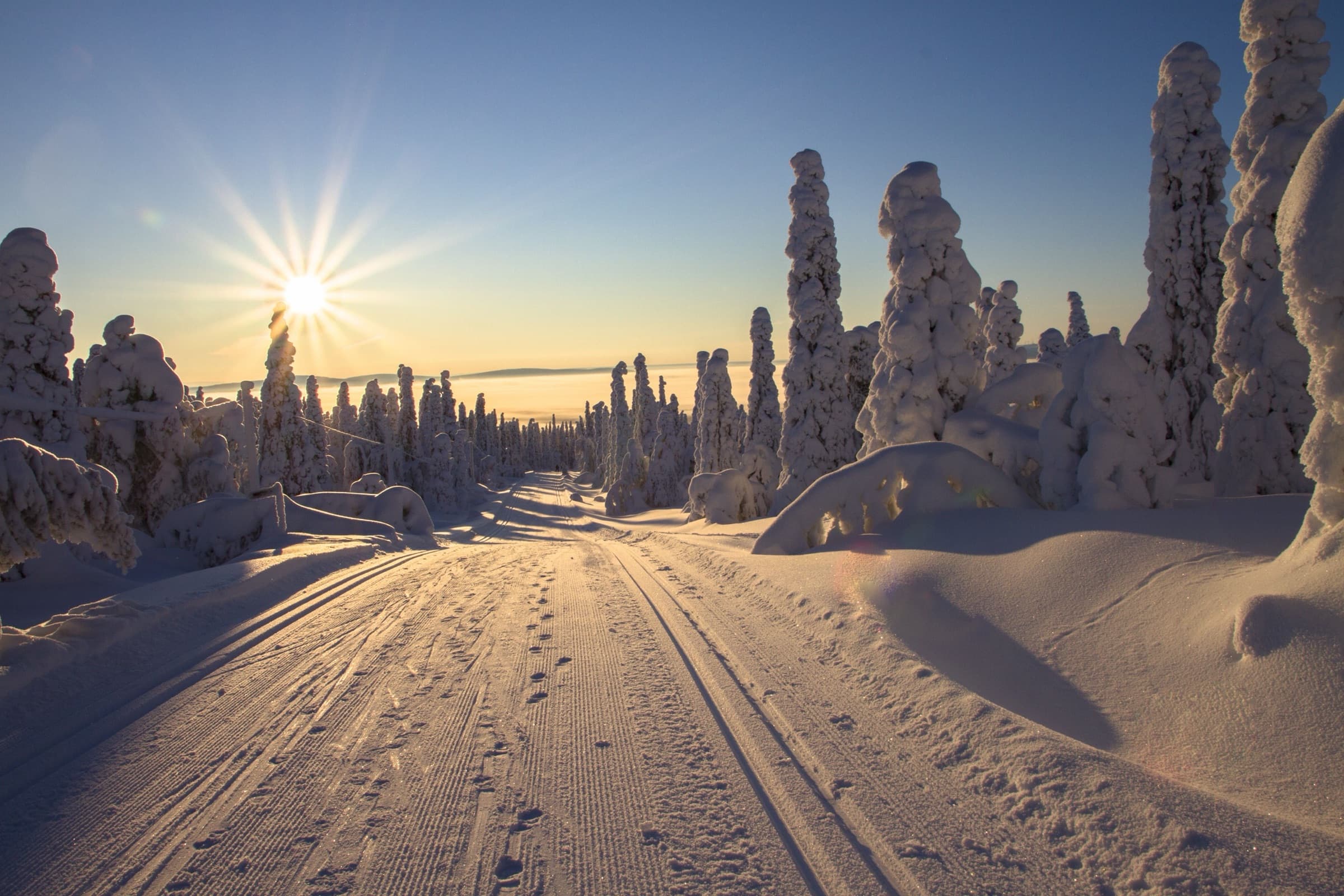 A groomed trail through snow-laden trees at sunrise